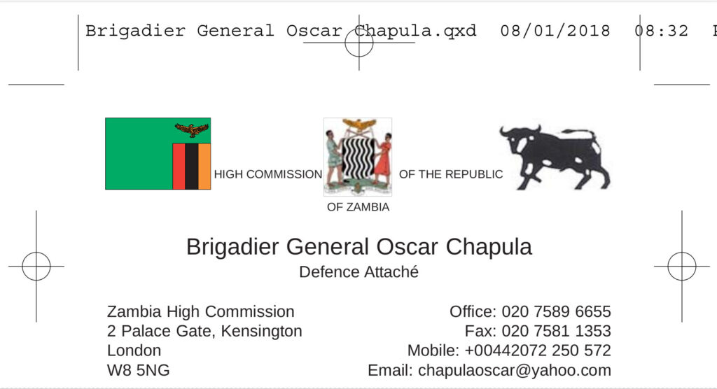 Business cards – International Officials